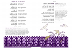 Yedid-Nefesh-Haggadah-9